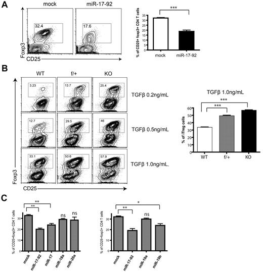 Figure 4. miR-19b and miR-17 suppress iTreg differentiation. (A) 5C.C7 T cells were primed, transduced with retrovirus encoding GFP alone or miR-17-92/GFP, and cultured under iTreg-differentiation conditions for 6 days with 0.2-1.0 ng/mL of recombinant human TGFβ (Peprotech), 50 U/mL of recombinant mouse IL-2 (Peprotech), 10 μg/mL of anti–IL-4 (11B11), 10 μg/mL of anti–IFN-γ (XMG1.2), and 10 μg/mL of anti–IL-6 (BD Biosciences). The percentage of Treg cells within the CD4+GFP+ population was measured by Foxp3 staining (eBioscience). The bar graph summarizes means ± SEM from 4 independent experiments. (B) CD4+CD25− T cells sorted from LNs and spleens of WT, f/+, and KO littermates were cultured under iTreg-differentiation conditions for 6 days with the indicated TGF-β doses, and the percentage of CD25+Foxp3+ Treg cells was assessed. Left: representative FACS plot; right: statistical analysis of 4 independent experiments at the indicated TGF-β dose. (C) 5C.C7 T cells were transduced with individual miRNAs from the miR-17 or miR-19 families, and cultured under iTreg-differentiation conditions for 6 days. The percentage of CD25+Foxp3+ cells was measured by flow cytometry. Bar graphs summarize the means ± SEM of 3 independent experiments. *P < .05; **P < .01; ***P < .00; and ns, no significance.