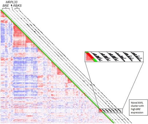 Figure 4. Patients with high BRE expression were confined to a novel subclass in AML. Pairwise correlations of 525 AML patients based on optimal clustering as described before16 identified several clusters of patients with similar expression profiles which can be recognized by the red blocks showing high correlation along the diagonal. One of these clusters was represented by a high incidence (86%) of patients with high BRE expression; the left 3 black bars show the relative intensity of the 3 probe sets representing BRE expression on the array. The other 3 black bars show the relative expression intensity of the probe set for MRPL33 and 2 probe sets for RBKS as indicated in the figure, revealing coexpression of these chromosomal neighbors with BRE. The MLL-AF9 status of the samples is represented in the green bar (green: negative; red: positive; blue: ND).