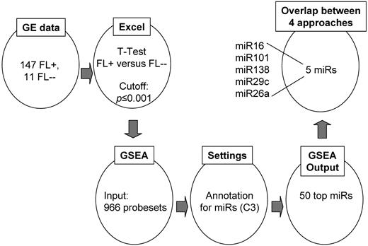 Figure 2. Inverse correlation approach using the GSEA annotation database. Genes that were differentially expressed between t(14;18)–negative FLs without BCL2 expression (FL--) and t(14;18)–positive FL (FL+) cases with a P value of ≤ .001 were entered into the GSEA annotation tool and then annotated for corresponding miRs. Among the top 50 miRs, we identified 5 miRs that were also detected by the Spearman correlation approach (Partek), the combining approach (Partek), and the DataAssist/TargetScan correlation approach. GE indicates gene expression.