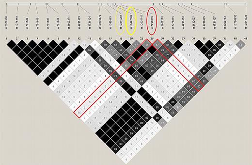 Figure 2. Linkage disequilibrium structure of the 5′ region of the leptin gene. Linkage-disequilibrium was calculated using the r2 statistic (r2 = 1) in the HapMap CEU population. Very high linkage-disequilibrium is demonstrated between rs7799039 and rs10487506 in white subjects in the Swiss HIV Cohort (n = 837).