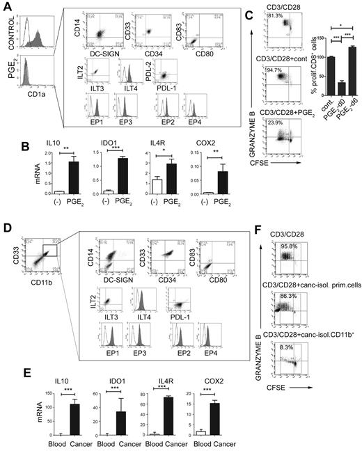 Figure 2. PGE2 redirects DC differentiation and induces CD14+CD33+CD34+ cells with the phenotype and function of monocytic MDSCs isolated from cancer patients. (A) Phenotype of PGE2-induced CD1a−CD14+CD80−CD83− MDSCs expressing inhibitory molecules ILT2, ILT3, ILT4, PDL-1, but not PDL-2. PGE2-induced MDSCs express E-prostanoid receptors (labeled with α-EP1–, α-EP3–, sec.Alexa488, α-EP2–, and α-EP4–PE). (B) Expression of immunosuppressive factors IL-10, IDO1, IL-4Rα, and COX2 in PGE2-induced MDSCs (see supplemental Figure 1A for corresponding protein levels of IDO and IL-10). (C) Immunosuppressive effects of PGE2-induced MDSCs on allogeneic naive CFSE-labeled CD8+ T cells primed by CD3/CD28 and stained for granzyme B. Left panel: Percentages indicate the fraction of proliferating granzyme B+ (marker of CTL status) CD8+ cells. Right panel: Percentage of proliferating CD8+ T cells in the presence of PGE2-induced MDSCs (PGE2-d0) and PGE2-conditioned DCs (PGE2-d6). (D-F) MDSC phenotype and function of CD11b+ cells isolated from cancer ascites. (D) Characterization of cells from cancer ascites either before (left panel) or after (right panel box) isolation of CD11b+ cells. Note the high percentage of CD11b+ cells (8.9%-50.0%, mean 24.2%, n = 7) within the cancer-infiltrating primary cell population. (E) mRNA levels of IL-10, IDO1, IL-4Rα, and COX2 in CD11b+ cells isolated from cancer (see supplemental Figure 1B for corresponding protein levels of IDO and COX2) compared with CD11b+ cells isolated from blood (ascites-isolated, n = 7; control blood-isolated, n = 5). (F) Suppression of CFSE-labeled allogeneic naive CD8+ T-cell proliferation (CD3/CD28 stimulation) in the presence or absence of primary cells or CD11b+ cells isolated from cancer (ie, MDSCs isolated from cancer; n = 7). Percentages indicate the fraction of proliferating granzyme B+CD8+ cells. The gray squares represent the lymphocyte-specific gates used to exclude (CFSE-unlabeled) MDSCs. All data (panels A-F) were confirmed in at least 3 independent experiments. Histograms present data of a single representative experiment with different donors as means ± SD. *P < .05; **P < .01; and ***P < .001.