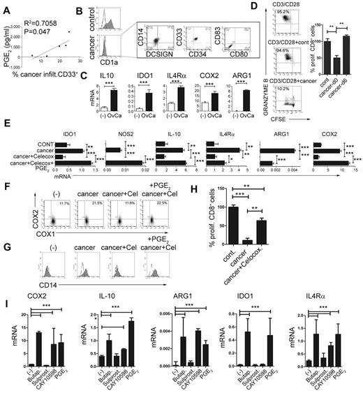 Figure 3. PGE2 mediates the enhanced development of MDSCs in human cancer environment. (A) Correlation between the PGE2 production and the frequencies of cancer-infiltrating CD11b+CD33+ cells from different patients. The percentage of cancer-infiltrating CD11b+CD33+ cells was determined by flow cytometry (n = 5 patients). The regression line and corresponding R2 value are shown. (B) MDSC phenotype induced in GM-CSF+IL-4–cultured monocytes by membrane-permeable soluble factor(s) produced by cancer-infiltrating cells. Similar data were obtained using the CM from cancer-infiltrating cells and in a Transwell system (see supplemental Figure 3 for experimental design). Left panel: Suppression of DC differentiation by CM from cancer-infiltrating cells (manifested by loss of the DC marker CD1a). Right panel: Induction of the CD1a−CD14+DCSIGN−CD80−CD83− MDSC phenotype. (C) mRNA levels of IL-10, arginase 1 (ARG1), IDO1, IL-4Rα, and COX2 in cancer-induced MDSCs. (D) Suppressed CD3/CD28–induced proliferation of granzyme B+ CTL (percentages) in the presence of cancer-induced MDSCs. Left panel: Percentages indicate the fraction of proliferating granzyme B+CD8+ cells. Right panel: Percentage of proliferating CD8+ T cells in the presence of cancer-induced MDSCs (cancer d0) and cancer-conditioned DCs (cancer d6). (E) Induction of immunosuppressive factors by cancer-associated PGE2. (F) Induction of CD14+ MDSCs by CM from cancer-infiltrating cells is suppressed by COX2 inhibition and restored by synthetic PGE2. (G) Regulation of COX1 and COX2 expression by CM from cancer-infiltrating cells generated in the presence or absence of celecoxib and/or synthetic PGE2 and analyzed after 6-10 hours. (H) Immunosuppressive effects of cancer-induced MDSCs on naive CFSE-labeled CD8+ T cells primed by CD3/CD28 and stained for granzyme B. Cancer-infiltrating primary cell CM was generated in the presence or absence of the COX2 inhibitor celecoxib. (I) Induction of immunosuppressive factors by PGE2, the EP4 agonist CAY10598, the EP2 agonist butaprost, but not the EP3/1 agonist sulprostone. All data (panels A-I) were confirmed in 3-7 independent experiments. Histograms present data from a single representative experiment with different donors as mean ± SD.