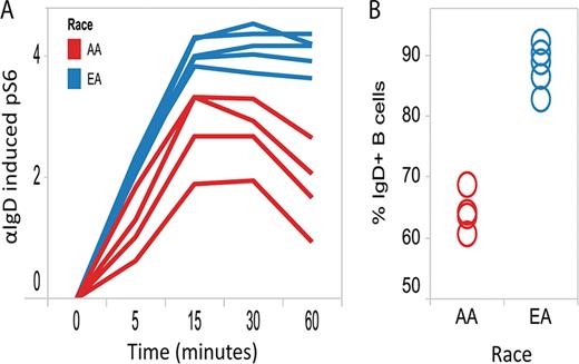 Fig. 1. A) αIgD induced pS6 signaling (based on the log2fold increase in MFI in αIgD treated cells relative to the untreated control (0 min)) over time are shown for the African American (AA) and European American (EA) donors. The difference in pS6 signaling (averaged over time points) between racial groups is statistically significant. B) The percentage of CD20+ B cells that were IgD+ is shown for the AA and EA donors. The difference in IgD+ frequency between racial groups is statistically significant. In both (A) and (B), one of the ten donors was excluded due to an insufficient number (<200) of B cells collected for analysis.