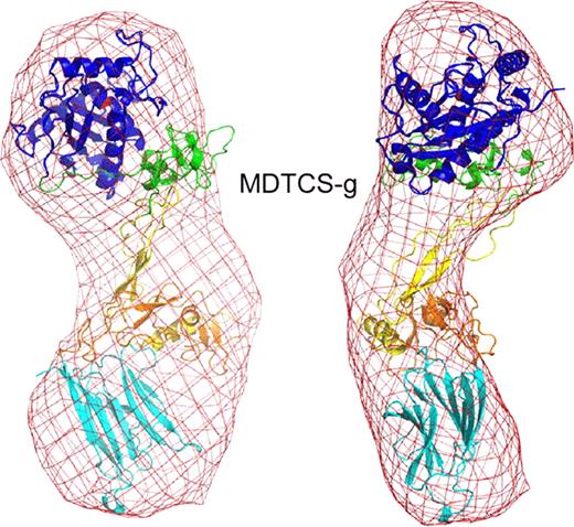 Figure 1. Ab initio model of MDTCS-g.