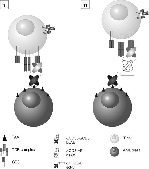 Figure 1:. Schematic representation of (i) the direct cross-linking system and (ii) the modular cell targeting system