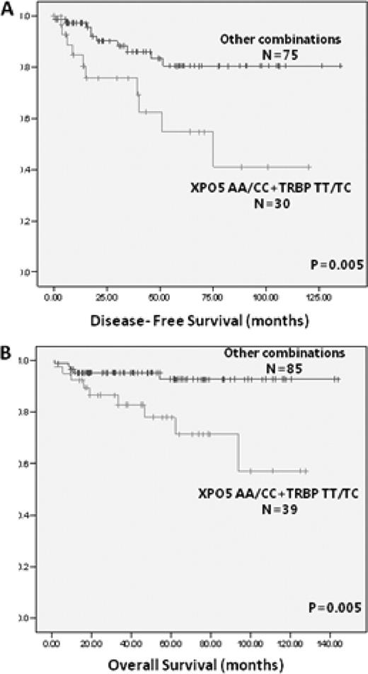 Figure. Kaplan-Meier curves for DFS (A) and OS (B) according to the TRBP/XPO5 haplotype.