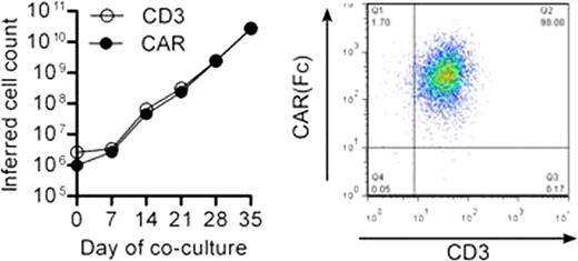 Figure 1:. (A) CAR expression on day 35. (B) Cytotoxicity of CD123CAR in leukemic cell lines.