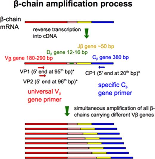 Figure 1:. Workflow of NGS-S