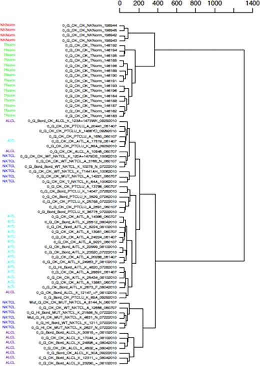 Figure 2:. Unsupervised hierarchical clustering is able to distinguish NKTCL, AITL and ALCL quite well. Normal T and NK T-cells used as controls are reflected in the dendrogram and PTCL-NOS (unlabelled rows) are dispersed across the clusters.