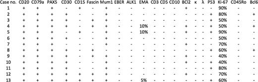 Immunohistochemical data of the selected cases.