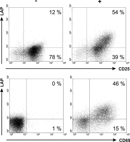Figure 1:. Expression of different activation associated markers on Tregs incubated without (−) or with a bsAb (+) and the respective target antigen.