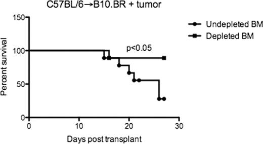Figure 1. Depletion of CD11b+ DC from donor BM allografts results in improved survival of recipient mice in a tumor model