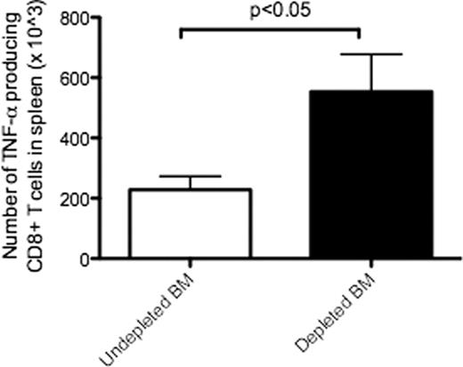 Figure 2. Recipients of CD11b+DC-depleted BM had significantly higher numbers of TNF-alpha producing donor CD8 T cells.