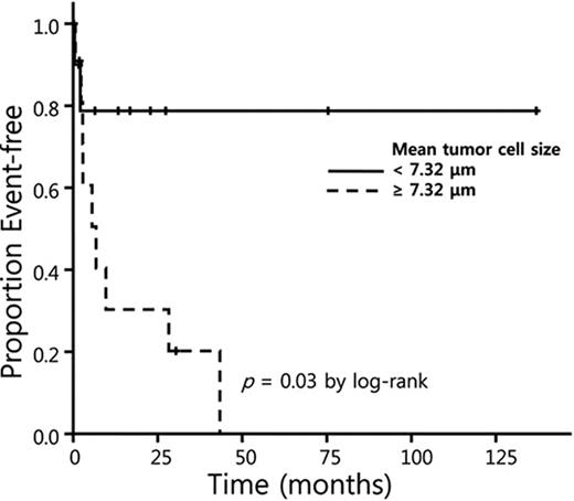 Fig. 1. Kaplan-Meier curve for EFS according to EBER-positive tumor cell size