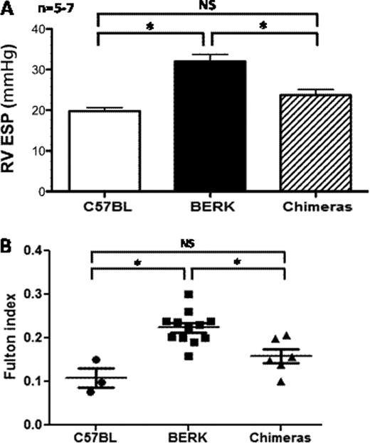Figure. legend: CD47KO mice transplanted with BERK BM (chimeras) show improved hemodynamics (Panel A) and less right ventricular (RV) hypertrophy as measured by the Fulton Index as compared to BERK mice (Panel B). * = statistically significant, NS = non significant, RV ESP = right ventricle end systolic pressure.