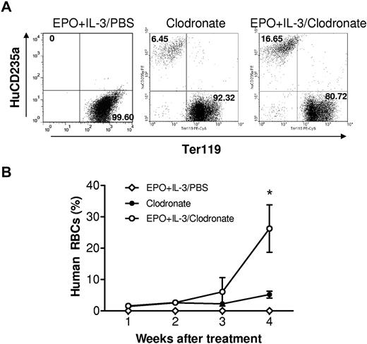 Figure 5. Treatment with human EPO and IL-3 promotes human erythropoiesis in macrophage-depleted humanized mice. Humanized mice were prepared by injection of human CD34+ FLCs into NOD/SCID mice after sublethal irradiation. At week 13, the mice were treated with clodronate liposomes (100 μL for the first injection and 50 μL every 5 days thereafter) plus human cytokines (EPO and IL-3; n = 4) or PBS (n = 6), or with human cytokines alone (EPO and IL-3; n = 4). EPO (30 U) and rhIL-3 (100 ng) were given every 3 days starting 1 day after the first injection of clodronate liposomes. (A) Flow cytometric profiles at week 4 after treatment. (B) Percentages (mean ± SEM) of human CD235a+ RBCs in blood at the indicated time points after treatment. *P < .05, for the indicated group compared with the other groups.