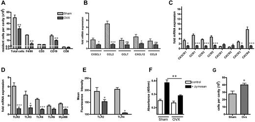 Figure 6. Ovarian sex hormones contribute to sex differences in resident immune cell population. OVX or sham operation was performed on female mice at 4 weeks of age and they were allowed to recover for 4-5 weeks. (A) Total number of resident F4/80+ macrophages, CD3+ or CD8+ T lymphocytes, and CD19+ B lymphocytes in peritoneal cavity (n = 5 mice). Basal mRNA expression of (B) mesenteric tissue chemokines (n = 6-7 mice), (C) chemokine receptors on resident peritoneal leukocytes (n = 6 mice), and (D) peritoneal leukocyte TLR expression (n = 6 mice). (E) Surface expression of TLR2 or TLR4 on F4/80+ resident peritoneal macrophages (n = 3-5 mice). (F) Phagocytosis of zymosan A (5 × 106 particles/105 cells, 30 minutes, n = 4 mice) by resident peritoneal cells in vitro. (G) GBS-induced (30 × 106 bacteria/mouse IP for 3 hours, n = 7 mice) accumulation of leukocytes in peritoneal cavity. All values (A-G) are expressed as means ± SEM. Expression of mRNA for each sample is normalized to corresponding levels of the housekeeping gene for small 18S and is calculated as the -fold expression relative to OVX females. All comparisons are relative to Sham females. *P < .05; **P < .01; and ***P < .001 by Student t test; NS denotes P > .05.