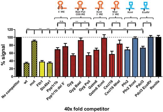 Figure 5. Validation of select novel IRP target mRNAs with in vitro transcripts. In vitro transcribed full-length mRNAs were incubated at a 40× molar excess against an H-ferritin IRE-radiolabeled probe for the binding of recombinant IRP1. Wt corresponds to an ∼ 1-kb reporter mRNA bearing the 5′ IRE of H ferritin mRNA; mut is the same reporter with a deltaC14 mutation of the IRE. Black bars represent negative control mRNAs (Renilla) or no competitor signal. Yellow bars represent positive controls (H-ferritin reporters and full-length Fth1 and Slc40a1 mRNAs). Red and blue bars correspond to novel IRP target mRNAs with or without a bioinformatically predicted IRE-like motif, respectively. Tested full-length and indicated 5′ restriction enzyme truncation mRNAs are grouped together. Above each group a schematic representation is shown indicating the restriction enzyme used to assess truncated forms and the location of the predicted IRE motif (round hairpin) or the putative IRP-binding RNA region (squared hairpin). P values are reported (***P < .001, **P < .01, *P < .05, unpaired 2-tailed Student t test compared with the mutant H-ferritin IRE construct, mut, or with each corresponding non-IRE construct). Data are presented as mean ± SEM.