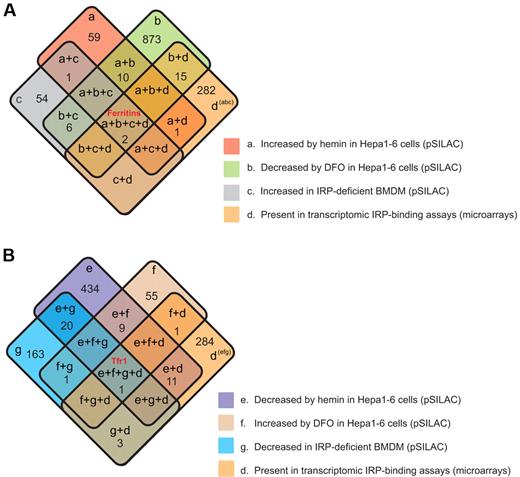 Figure 6. Integrative data analysis combining iron proteomics and microarray data. (A) Combination of categories a, b, c, and d. (B) Combination of categories e, f, g, and d. Category definitions are as follows: a, proteins up-regulated by hemin in Hepa1-6 cells in pSILAC experiments; b, proteins down-regulated by DFO in Hepa1-6 cells in pSILAC experiments; c, proteins up-regulated in IRP-deficient BMDMs (pSILAC experiments); d, IRP target mRNAs detected by IPs and microarrays; e, proteins down-regulated by hemin in Hepa1-6 cells in pSILAC experiments; f, proteins up-regulated by DFO in Hepa1–6 cells in pSILAC experiments; and g, proteins down-regulated in IRP-deficient BMDMs (pSILAC experiments).