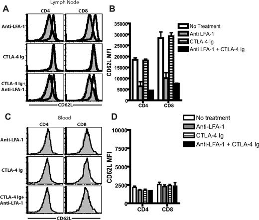 Figure 2. LFA-1 blockade results in decreased CD62L expression on CD4+ and CD8+ T cells in peripheral LNs. B6 recipients of BALB/c SG were left untreated or treated with anti–LFA-1 alone, CTLA-4 Ig alone, or a combination of anti–LFA-1 plus CTLA-4 Ig, and graft-draining LNs and peripheral blood were collected 9 days after skin grafting. Cells were stained anti-CD4, anti-CD8, and anti-CD62L, and analyzed by flow cytometry. (A,C) Open histograms indicate untreated controls; shaded histogram indictes treated animals. Data shown are gated on CD4+ or CD8+ T cells in draining LNs (A-B) and peripheral blood (C-D) and are representative examples from 4 experiments with 3 animals per group. (B) Summary data of MFI of CD62L expression on CD4+ and CD8+ T cells isolated from LNs (B) or peripheral blood (D) on day 9 after transplantation. Results showed a statistically significant decrease in CD62L expression on CD4+ and CD8+ T cells in the LNs both in the presence and absence of CTLA-4 Ig (P < .0001 compared with untreated controls). Combined data from 2 independent experiments with a total of 6 mice per group are shown.