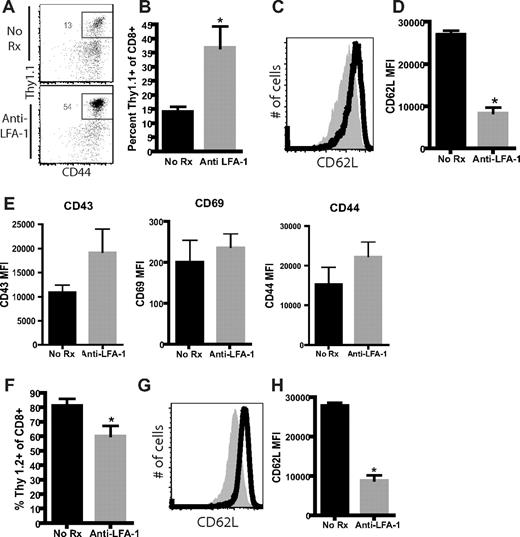 Figure 4. Activated lymphocytes are preferentially sequestered in Ag-exposed, anti–LFA-1–treated LNs. mOVA graft–specific OT-I T cells were adoptively transferred into B6 recipients; 48 hours later, mice received an mOVA skin graft and were left untreated or were treated with anti–LFA-1. Draining LNs were harvested on day 10 after transplantation and donor-reactive Thy1.1+ T cells and non-donor-reactive endogenous Thy1.2+ T cells were analyzed by flow cytometry. (A-B) LNs isolated from anti–LFA-1–treated animals demonstrated a greater percentage of Ag-specific, Thy 1.1+ CD8+ T cells compared with LNs isolated from untreated control animals (P = .018). (C-E) Down-regulation of CD62L expression on Thy1.1+ graft–specific T cells was observed after treatment with anti–LFA-1 compared with untreated controls (P < .0001), but there was no difference in the expression of CD43, CD69, and CD44 on these cells. (F) Analysis of endogenous, non-Ag-specific Thy1.2+ CD8+ T cells revealed a reduction in the frequency of cells compared with untreated controls (P = .023). (G-H) Thy1.2+ cells also exhibited decreased expression of CD62L expression (P < .0001) compared with untreated controls. Data shown are either representative (flow plots) or cumulative (bar graphs) from 2 independent experiments with a total of 8-9 mice per group.