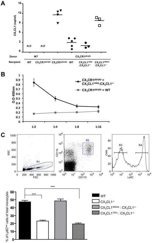 Figure 5. Restoration of CX3CR1hi Ly6Clo monocyte survival. (A-B) Serum ELISA of indicated BM chimeras for the presence of secreted endogenous and transgene-encoded CX3CL1 isoforms. (A) Detection with anti-CX3CL1 antibody. (B) Detection of CX3CL1105Δ transgene encoded CX3CL1 with anti-myc antibody (9E10). ND indicates not detectable. (C) Flow cytometric analysis of blood monocytes of WT mice, CX3CL1−/− mice, CX3CL1395AA:CX3CL1−/− mice, and CX3CL1105 Δ:CX3CL1−/− mice. (Top) Representative analysis of Ficoll-enriched WT blood cell sample indicating detection of Ly6Clo and Ly6Chi CD115+ monocyte populations. Bar diagram bar represents percentage of Ly6Clo monocytes (R3) of total blood monocyte (R2) for indicated mouse strains. N = 3 or 4 per group in 6 independent experiments. Error bars represent mean ± SEM. ***P < .001 (1-way ANOVA followed by Bonferroni Multiple Comparison).