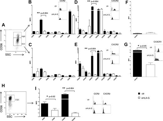Figure 1. Modulation of chemokine receptors expression by sHLA-G on PB NK cells. (A-G) Cytofluorimetric analysis of chemokine receptor expression on purified total PB NK cells, gating on CD56bright or CD56dim NK cells. (A) Representative staining with anti-CD56 mAb. CC chemokine receptor expression on CD56bright (B) and CD56dim (C) NK cells, CXC chemokine receptor expression on CD56bright (D) and CD56dim (E) NK cells, and CX3CR1 expression on CD56bright (F) and CD56dim (G) NK cells, either untreated (black bars) or treated with sHLA-G (white bars). Data are expressed as MRFI. Means of 5 different experiments ± SD are shown. Asterisks indicate significant differences. The insets in panels B, D, E, and G show representative stainings of NK cells, ctr, or treated with sHLA-G, with anti-CCR2, anti-CXCR3, and anti-CX3CR1 mAbs, respectively. Black profiles indicate staining with specific mAbs, whereas gray profiles indicate staining with irrelevant isotype-matched mAb. (H-I) Cytofluorimetric analysis of chemokine receptor expression on purified PB CD56bright NK cells. (H) Representative staining with anti-CD56 mAb. (I) CCR2 and CXCR3 expression on CD56bright NK cells untreated (black bars) or treated with sHLA-G (white bars). Data are expressed as MRFI. Means of 5 different experiments ± SD are shown. Asterisks indicate significant differences. The inset shows representative stainings of CD56bright NK cells, ctr, or treated with sHLA-G, with anti-CCR2 and anti-CXCR3 mAbs, respectively. Black profiles indicate staining with specific mAbs, whereas gray profiles indicate staining with irrelevant isotype-matched mAb.