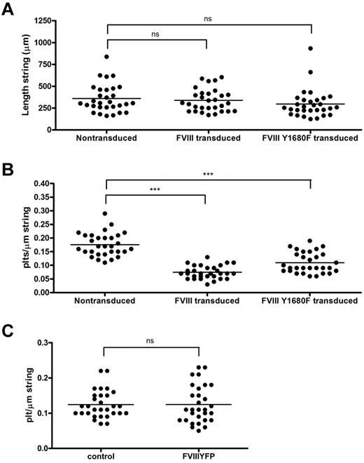 Figure 7. Quantification of platelet binding properties and length of VWF strings from FVIII-YFP and FVIII-YFP Y1680F-transduced BOECs. Fluorescence and phase-contrast tile scans were used to measure length of released VWF strings (A) and number of platelets per string (B) of at least 30 strings each from nontransduced, normal FVIII-YFP-, and FVIII-YFP Y1680F-transduced BOECs. (A) No significant differences were detected in the length of VWF strings released by nontransduced BOECs, FVIII-YFP-, and FVIII-YFP Y1680F-transduced BOECs, 360 ± 29 μm, 338 ± 23 μm (P = .57), and 297 ± 30 μm (P = .14), respectively. Values are mean ± SD. ns indicates not significant. (B) VWF strings released by FVIII-YFP- and FVIII-YFP Y1680F-transduced BOECs bind fewer platelets than strings released by nontransduced BOECs, 0.07 ± 0.02, 0.11 ± 0.04, and 0.18 ± 0.04, respectively (mean ± SD). ***P < .001. (C) Nontransduced BOECs were stimulated with 100μM histamine at 2.5 dyne/cm2 for 10 minutes, incubated with SF medium (control) or 5 U/mL purified FVIII-YFP for 5 minutes followed by perfusion of washed human platelets for 5 minutes. Number of platelets per string was determined of 30 strings each. No difference was observed in platelet binding between strings covered with or without recombinant FVIII (P = .98).