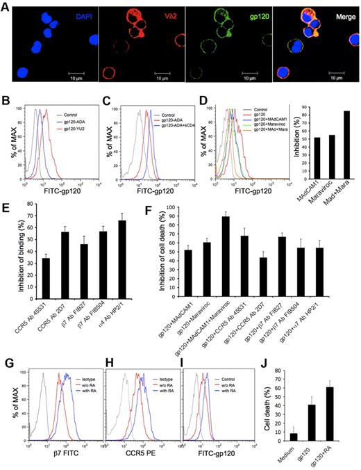 Figure 3. HIV envelope-induced killing of Vγ2Vδ2 T cells depends on α4β7 and CCR5. (A-B) Vγ2Vδ2 T cells were stained with fluoresceine conjugated HIV gp120 (green) and Vδ2 mAb (red) and viewed under a confocal microscope (A) or analyzed with flow cytometry (B). (C) Vγ2Vδ2 T cells were stained with the fluorescein-conjugated HIV gp120 in the absence or presence of soluble CD4, and then analyzed with flow cytometry. (D) Vγ2Vδ2 T cells were incubated with Maraviroc (1μM), MAdCAM1 (20 μg/mL), or both for 1 hour before staining with HIV gp120. (E) Vγ2Vδ2 T cells were incubated with specific antibodies against CCR5, β7 or α4 (20 μg/mL) for 30 minutes before staining with HIV gp120. (F) Cell death was evaluated after Vγ2Vδ2 T cells were incubated with soluble HIV gp120 protein (CN54, 10 μg/mL) in the absence or presence of blocking reagents for α4β7 and CCR5. (G-J) Vγ2Vδ2 T cells were cultured in the absence or presence of retinoic acid. The expression of β7 (G) and CCR5 (H), the binding of gp120 (I), and gp120-induced cell death (J) were examined as previously described. Data are representative of 3 independent experiments (error bars, SD).