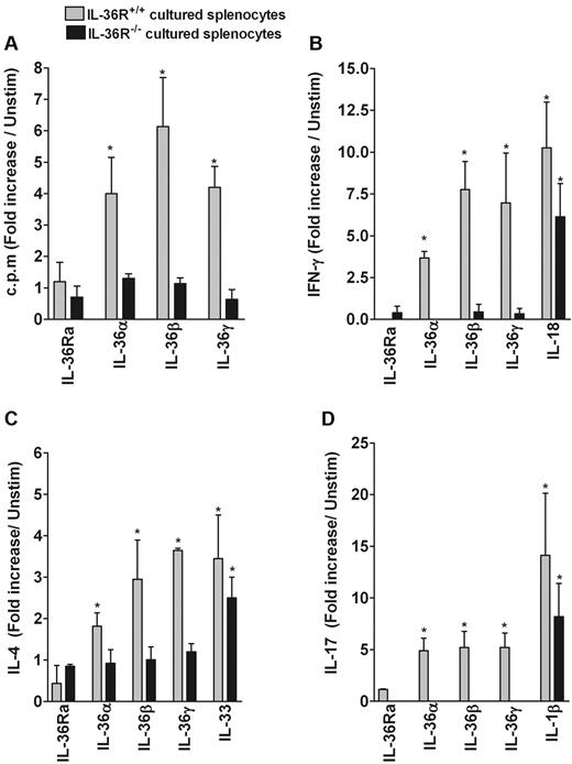 Figure 6. Effect of IL-36 and other IL-1 family members on cell proliferation and cytokine production by cultured splenocytes. Splenocytes (2 × 105 cells/well) isolated from WT (gray bars) and IL-36R−/− mice (black bars) were cultured in 96-well-plates precoated with anti-CD3 mAb (0.08 μg/mL) and incubated in the absence or presence of 100 ng/mL IL-36Ra, IL-36α, IL-36β, IL-36γ, IL-1β, IL-33, or IL-18 for 72 hours. Results are shown as fold increase compared with unstimulated cells. (A) Proliferative responses were assessed by thymidine incorporation. IFN-γ (B), IL-4 (C), and IL-17 (D) production in culture supernatants was determined by ELISA. Error bars represent the SD of the means of triplicates in 3 independent experiments. *P < .05 (Student t test), IL-36, IL-18, IL-33, or IL-1β stimulation significantly differs from unstimulated cells.