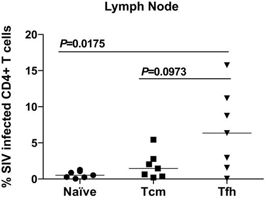 Figure 6. CD4+ Tfh cells are preferentially SIV-infected in LNs. CD4+ T cells from LNs of SIV-infected RMs were sorted into 3 populations: naive (circles), central memory (squares), and Tfh cells (inverted triangles). Quantitative real-time PCR was used to determine the SIV infection frequency of each subset. P values represent Mann-Whitney U t test results. Horizontal bar represents median.