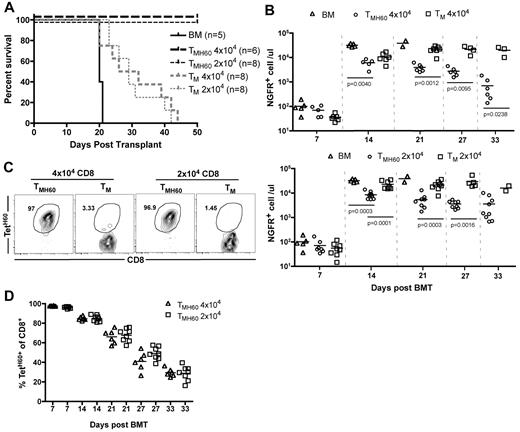 Figure 3. TMH60 mediate GVL against mCP-CML. B6.H60 mice were irradiated and reconstituted with C3H.SW BM, B6.H60 mCP-CML cells with no T cells or with 2 × 104 or 4 × 104 CD8+CD44+ TM from DEC-H60–vaccinated or unmanipulated C3H.SW mice. (A) Survival. All deaths were from leukemia. P < .0003 comparing either TMH60 recipient group with its TM control; P ≤ .0002 comparing any TM recipient group with the BM alone control. (B) Numbers of NGFR+ cells in peripheral blood. (C) Representative flow cytometry of TetH60+ cells in peripheral blood at day 7, gated on CD8+ cells. (D) Number of TetH60+ cells in blood of TMH60 recipients at days +7, +14, +21, +27, and +33.