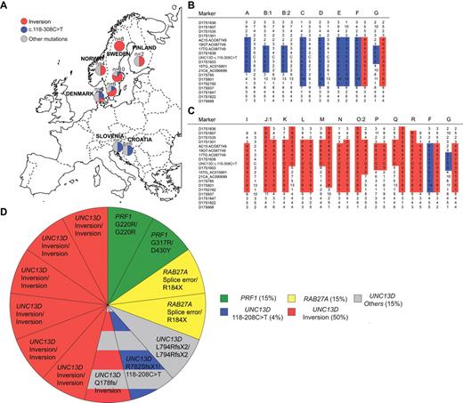 Figure 6. Geographic distribution and microsatellite marker analyses of noncoding UNC13D mutations. (A) Frequency of distinct UNC13D mutations in families from different European countries. All patients with UNC13D studied from Sweden, Denmark, Norway, Finland, Croatia, and Slovenia are included. Pie charts indicate the relative frequency of the intron 1 mutation (blue), the inversion (red), or other mutations (gray). Numbers represent alleles. (B) Haplotype analyses using microsatellite markers of patients with the c.118-308C > T mutation. (C) Haplotype analyses using microsatellite markers of patients with the inversion. (D) Relative frequency of mutated alleles in infants that fulfilled the diagnostic criteria for HLH, including defective NK cell cytotoxicity in Sweden between December 2005 and January 2011. The pie chart includes 13 patients and 26 mutated alleles.