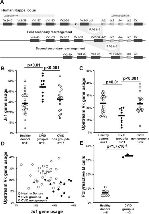 Figure 1. Diminished secondary recombination and corresponding defective central tolerance in the new emigrant/transitional B cells of CVID group-Ia patients. (A) Receptor editing is mediated by successive rounds of secondary recombination catalyzed by RAG enzymes with replacement of existing Igκ gene rearrangements with newly joined upstream Vκ and downstream Jκ gene segments. Increased Jκ1 (B) combined to decreased upstream Vκ (C) gene segment usage in the new emigrant/transitional B cells of CVID group-Ia patients reveals a unique repertoire niche (D) reflecting a history of decreased secondary recombination compared with healthy controls and non-group-Ia CVID patients. (E) An increased frequency of polyreactive new emigrant B cells in CVID group-Ia patients compared with healthy controls demonstrates a central defect in B-cell tolerance in these patients. Each diamond represents an individual, and the average is shown with a bar.