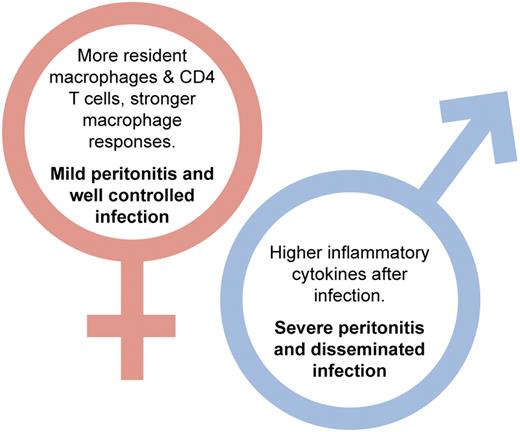 Differences between male and female responses to streptococcal peritonitis reported in Scotland et al.1 Professional illustration by Kenneth X. Probst.