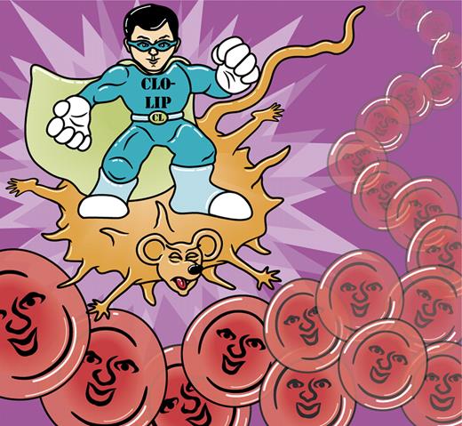 Suppression of mouse macrophages by clodronate liposomes (CLO-LIP) enables hRBC survival in mouse models. Professional illustration by A. Y. Chen.