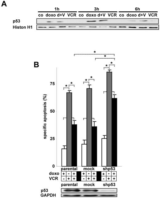 Figure 5. Activation of p53 by doxorubicin and its impact on VCR-induced apoptosis. (A) Nuclear extracts of CEM cells simultaneously stimulated with doxorubicin and VCR as indicated were analyzed by Western blot. Histone H1 served as a loading control. (B) Parental CEM cells stably transfected with shRNA targeting p53 (shp53) or a control mock shRNA sequence were stimulated with doxorubicin and VCR simultaneously. *P < .05 (ANOVA). NS indicates not significant. Western blot was performed of total cellular protein. The concentrations of doxorubicin and VCR, measurement of apoptosis, presentation of data, and statistical analysis were performed as described in Figure 1A. d indicates doxo; V, VCR; h, hour; and co, unstimulated control cells.