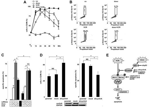 Figure 6. Arrest of the cell cycle by doxorubicin and its impact on VCR-induced apoptosis. (A-B) Cell-cycle analysis was performed using propidium iodide staining of DNA in CEM cells (A). Corresponding cell-cycle histograms are presented in supplemental Figure 3A. To discriminate between G2 and M arrest, double staining for phospho-histone H3 (Ser10) and propidium iodide was performed after 24 hours (B). co indicates unstimulated control cells. (C) CEM cells were preincubated with caffeine (300 μg/mL) for 8 hours, followed by doxorubicin together with VCR for 48 hours. *P < .05 (ANOVA). NS indicates not significant. (D) CEM cells were stably transfected with a shRNA targeting cyclin A (shcyclin A) or a control mock sequence and were analyzed for cell-cycle distribution of spontaneously growing cells (left panel) or for apoptosis induction by VCR (3 ng/mL) after 48 hours (right panel). *P < .05 (ANOVA). NS indicates not significant. (E) Scheme summarizing the data presented in Figures 4 to 6: Doxorubicin-mediated activation of p53 and G2 arrest inhibits VCR-induced cell death, abrogating VCR-induced phosphorylation of Bcl-2 family members, the distal apoptosis signaling pathway, and cell death. The concentrations of doxorubicin and VCR, measurement of apoptosis, presentation of data, and statistical analysis were performed as described in Figure 1A.