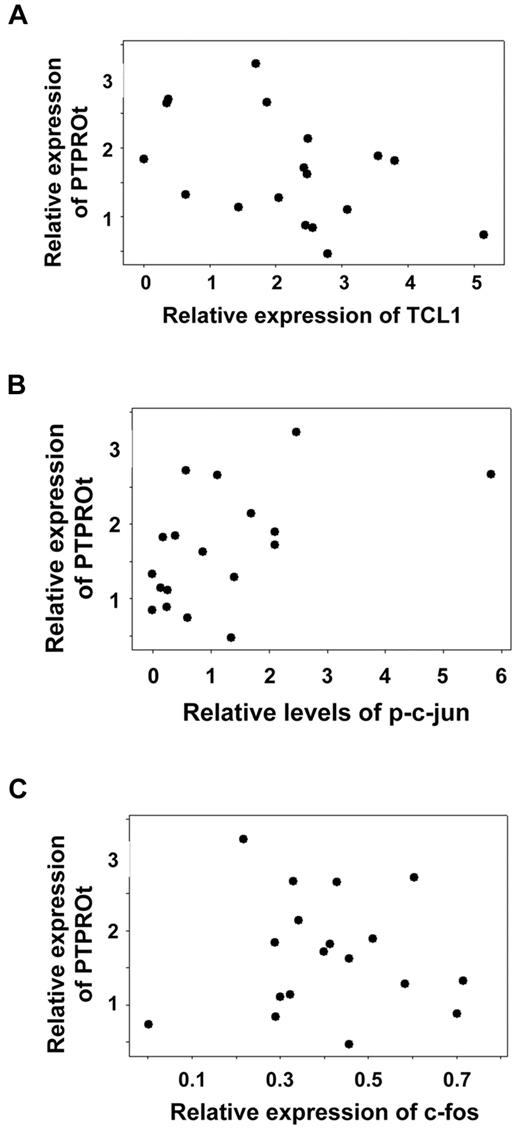 Figure 7. Inverse correlation between expression of TCL1 and PTPROt. Whole cell extracts of primary CLL cells were subjected to Western blot analysis with antibodies against TCL1, c-fos, c-jun, p(S73)-c-jun, and GAPDH (normalizer). The autoradiographs were scanned and signal intensities were quantified using AlphaImager. Total RNA from the same samples was used for real-time RT-PCR analysis of PTPROt and GAPDH (normalizer). Each assay was performed in triplicate. Linear regression model was used for statistical correlation between normalized expression values for PTPROt mRNA and TCL1 protein (A), p-c-jun (B), or c-fos (C).