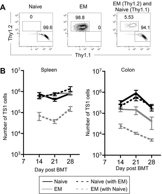 Figure 5. Progeny of TS1 TEM are outcompeted by progeny of TS1 TN. HA104 mice received 750cGy and 8 × 106 RAG−/− BM cells in combination with 3000 Thy1.1 TS1 TN, 3000 Thy1.2 TS1 TEM, or a mix of both. On days 14, 21, and 28 spleen and colon cells were isolated. Representative flow cytometry plots showing Thy1.1 and Thy1.2 expression on splenic CD4+TS1+ cells on day 14 are shown in (A). The numbers of TS1 cells in the spleen and colon are shown in (B). P < .05 comparing numbers of TEM that are transferred alone to numbers of TEM that are cotransferred with TN in the spleen and colon for all time points analyzed except for the colon on day 28, for which P = .138. Days 14 and 21 are combined from 2 independent experiments; day 28 is from 1 experiment. There were 8 mice per group for days 14 and 21 and 3 mice per group for day 28.