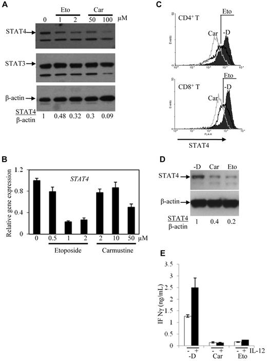 Figure 3. Expression of STAT4 in cells treated in vitro with chemotherapy drugs. PBMCs obtained from controls were activated with PHA and IL-2 for 3 days and then cultured for 3 more days with the indicated concentrations of etoposide (Eto) and carmustine (Car). RNA was extracted and the first-strand cDNA was synthesized from the cells. STAT4 expression was analyzed using immunoblot (A) and real-time PCR (B). (C) STAT4 protein levels in CD4+ and CD8+ cells from control activated PBMCs treated without (-D) or with carmustine (Car) or etoposide (Eto) were analyzed using flow cytometry as described in “Methods.” Histograms represent the STAT4 expression gated on 5000 events of live CD4+ or CD8+ cells using WinMDI software. (D) NKL cells were treated without (-D) or with 50μM carmustine (Car) or 2μM etoposide (Eto) for 2-3 days. STAT4 protein levels were analyzed using Western blotting. (E) NKL cells treated as described in panel D were incubated with medium alone (unfilled bars) or medium containing 2 ng/mL of IL-12 (filled bars) for 1 day. The cell-free supernatants were analyzed for IFN-γ production using ELISA. The data are presented as means ± SD from 3 independent experiments.