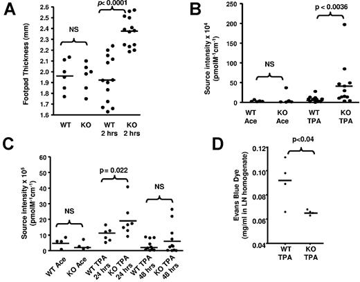 Figure 2. D6-deficient skin demonstrates impaired lymphatic function. (A) Inflamed D6-deficient footpads are thicker than inflamed WT footpads. Footpad thickness was measured 2 hours after subcutaneous injection of LPS, on H&E-stained sections of mouse paws at 5× magnification on a light microscope (Carl Zeiss) equipped with Axiovision Version 4.6, 12-2006 software. Measurement was done using the Axiovision Interactive Measurement analysis module (Carl Zeiss). (B) TPA-inflamed D6-deficient skin is more edematous than inflamed WT skin. Edema was measured by intravital imaging of dermal accumulation of intravenously injected AF750-BSA. WT Ace and KO Ace are acetone control treated mice. (C) Fluid drainage from TPA-inflamed skin is impaired in D6-deficient, compared with WT, mice as measured by clearance of subcutaneously injected AF750-BSA (see “Assignment of tissue fluid control”). WT Ace and KO Ace are acetone control treated mice. (D) LN drainage of subcutaneously injected Evans blue dye is impaired in TPA-inflamed D6-deficient, but not WT, mice. Evans blue dye was injected subcutaneously, LNs collected 1 hour later, and Evans blue dye accumulation in the LNs measured as described. (A-C) Data are from more than 3 independent experiments with n > 3 mice per experimental group for each individual experiment. (D) Results are from a single experiment.