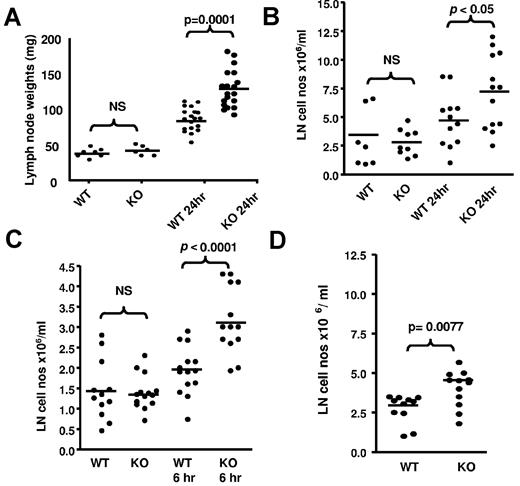 Figure 3. LN alterations in D6-deficient mice. (A) TPA painting leads to increased weight of D6-deficient inguinal LNs compared with WT inguinal LNs. These data were obtained by removing, and weighing, inguinal LNs from mice at rest and 24 hours after TPA painting. LNs were weighed on a ExplorerPro microbalance. (B) This weight increase is associated with an increase in D6-deficient LN cellularity. LNs were collected and dispersed into 1 mL of medium with DNAse and the cells counted on a hemocytometer. These data were obtained using WT and D6-deficient inguinal LNs collected at rest and 24 hours after TPA painting. (C) Footpad injection of LPS also increases LN cell numbers in D6-deficient, compared with WT, mice. These data are from popliteal LNs collected at rest (contralateral LNs draining PBS injected footpads), and 6 hours after LPS injection, and processed as in panel A. (D) Chemokine injection alone led to exaggerated increases in the cellularity of D6-deficient LNs. hCCL3 in PBS/0.1% BSA was injected into subcutaneously air pouches on the back of D6-deficient, or WT, mice and the cellular content of inguinal LNs, processed as in panel B, assessed 1 hour later. (A-D) Data are from 3 independent experiments with n > 3 mice per experimental group for each individual experiment.