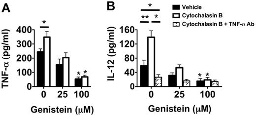 Figure 6. Neutrophil degranulation increases TNF-α–mediated IL-12 expression in DCs. (A) Supernatant TNF-α accumulation of vehicle-treated, cytochalasin B-treated, genistein-treated, or genistein + cytochalasin B–treated POD1 airway neutrophils from Ext CI Balb/c → B6 lung recipients. Results are representative of 3 independent experiments. (B) Supernatant IL-12 accumulation in BMDC cocultures with vehicle-treated, cytochalasin B-treated, genistein-treated, or genistein + cytochalasin B–treated POD1 airway neutrophils from Ext CI Balb/c → B6 lung recipients cultured in the absence or presence of TNF-α Abs. Results are representative of 3 independent experiments. Data for panels A and B represent the mean ± SEM. *P < .05; **P < .01.