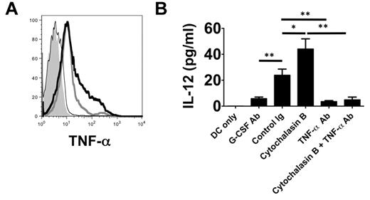 Figure 7. TNF-α is associated with the neutrophil plasma membranes and stimulates IL-12 expression in DCs. (A) Histogram of surface TNF-α expression on POD 1 airway neutrophils from unstimulated (thick gray line) or cytochalasin B–stimulated (thick black line) control Ig–treated Ext CI Balb/c → B6 lung recipients or (thin black line) G-CSF Ab–treated Ext CI Balb/c → B6 lung recipients or (shaded) Ext CI Balb/c → B6 TNF-α−/− lung recipients. Results are representative of 2 independent experiments. (B) BMDC culture (DCs only) or BMDCs cocultured with unstimulated (control Ig) or cytochalasin B–stimulated (cytochalasin B) POD 1 Ext CI Balb/c → B6 lung recipient airway neutrophil plasma membranes in the absence or presence of TNF-α Ab (TNF-α Ab or cytochalasin B + TNF-α Ab, respectively) or with POD 1 G-CSF Ab–treated Ext CI Balb/c → B6 lung recipient airway neutrophil plasma membranes (G-CSF Ab). One day later, IL-12 accumulation was assessed in culture supernatants. Results are representative of 2 independent experiments. Data represent the means ± SEM. *P < .05; **P < .01.