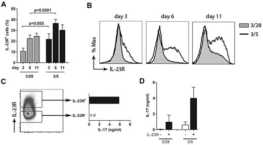 Figure 3. CD5 induces elevated levels of IL-23R. (A) Naive T cells were stimulated via CD3/CD28 or CD3/CD5 in Th17-polarising conditions. IL-23R expression was measured by FACS at day 3, day 6, and day 11. Data shown are mean ± SEM of 9 individual experiments using different donors. (B) IL-23R expression of stimulated naive T cells described under (A) was measured by FACS. Data shown are from 1 representative experiment of 9 independent experiments using different donors. (C) Naive T cells were stimulated via plate-bound antibodies directed against CD3/CD5 in Th17 inducing conditions. IL-23R+ and IL-23R− cells were sorted at day 4 and cultured for another 7 days. IL-17 was measured by ELISA after 24 hours of stimulation with anti-CD3/PdBu (right panel). Data shown are from one representative experiment of 3 independent experiments with different donors (n.d., not detectable). (D) Naive T cells were stimulated with CD3/CD28 or CD3/CD28 and sorted for IL-23R expression as described in (C). IL-17 was measured 7 days after sorting of anti-CD3/PdBu stimulated cells (24 hours). Data shown are from 3 individual experiments using different donors.