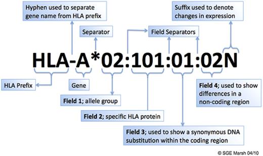 Figure 2. Convention for HLA allele naming. The figure illustrates the meaning of each component of an HLA allele name. Fields 3 and 4 may not be used in a name if no synonymous DNA substitutions or differences in a noncoding region are found for a particular allele. For example, based on the IMGT/HLA database Version 3.1.0, July 2010,2 A*02:07 has not been found to have synonymous DNA substitutions or differences in the noncoding region; thus, fields 3 and 4 have not been assigned for this allele. Courtesy of Prof Steven Marsh, Anthony Nolan Research Institute, London, United Kingdom (www.hla.alleles.org).