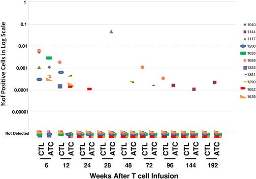Figure 2. First-generation GD2-CAR T cells can be detected in the peripheral blood of patients for a prolonged period of time. Real-time quantitative PCR was used to assess the presence and persistence of CAR–T cells. GD2-ATCs or GD2-CTLs could be detected, at or after 6 weeks after infusion, in the circulation of 11 of 19 (58%) patients. Although the levels of detection were low, transgenic signals could be identified at 96 weeks for CAR-CTLs and 192 weeks for CAR-ATCs after infusion. The estimate of frequency of CAR– T cells was obtained using standard curves of DNA from tumor cell lines transduced with the retroviral vectors encoding each CAR. Integrant analysis showed between 6 and 8 proviral integration sites per cell. Sensitivity assays in which transduced T cells were diluted with nontransduced T cells showed unequivocal detection ability when 1 transduced cell was diluted in 1000 to 6000 nontransduced cells, corresponding to 0.0001% to 0.002% of the tumor cell lines used for the standard curve.