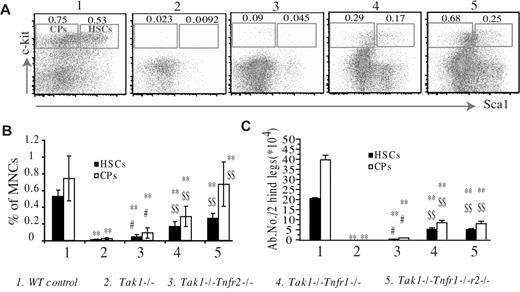 Figure 2. The depletion of Tak1−/− HSPCs is partially prevented by inactivation of TNF-α signaling. BM of mutant mice was collected on day 8 after induction of Tak1 gene deletion. (A-B) Percentages of phenotypic HSCs (Lin−Sca+c-Kit+) and CPs (Lin−Sca−c-Kit+) in total BM MNCs were analyzed by flow cytometry. BM MNCs were stained with FITC-lineage cocktail, PE-Sca1, and allophycocyanin-c-kit antibodies. HSCs and CPs were analyzed by gating first on the lin−/lo population (lineagenegative/low); percentages of HSCs and CPs in total BM MNCs were then examined. (C) Absolute numbers of HSCs and CPs were counted. Data are the average of 4 mice from each genotype. **Significant reduction compared with WT control mice (P < .01). #Significant increase compared with Tak1−/− mice (P < .05). $$Significant increase compared with Tak1−/Tnfr2−/− mice (P < .01).