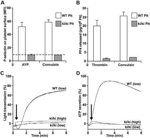 Figure 5. Activation of FOG1 ki/ki platelets by several agonists is impaired. (A) Relative mean fluorescent intensity of P-selectin on platelets from WT (white bars) or FOG1 ki/ki (gray bars) mice after activation with the thrombin receptor agonist AYP peptide (500μM, left) or the collagen receptor agonist convulxin (24nM, right). The dotted line represents the baseline signal for nonactivated platelets for both WT and ki/ki mice. N = 6, each done in duplicate. Data are mean ± SD. (B) WT or ki/ki platelets were stimulated with thrombin (1 U/mL, left) or convulxin (24nM, right), and supernatants were assayed for PF4 release by ELISA. N = 4, each done in duplicate. Data are mean ± SD. (C) Representative platelet aggregation analysis of WT platelets using a low dose of thrombin (0.08 U/mL) and FOG1 ki/ki platelets using this same dose or a 12.5-fold higher dose (1 U/mL). Aggregation was measured by percentage light transmission. Results are representative of 4 experiments. (D) Representative analysis of platelet ATP secretion in response to thrombin treatment as described in panel C. ATP secretion was measured by a sensitive luminescent assay simultaneously with measurement of aggregation.